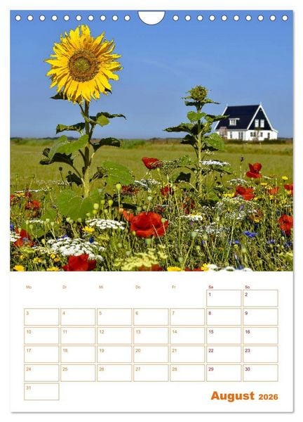 Produktbild: Texel - Momente die verzaubern (Wandkalender 2026 DIN A4 hoch), CALVENDO Monatskalender
