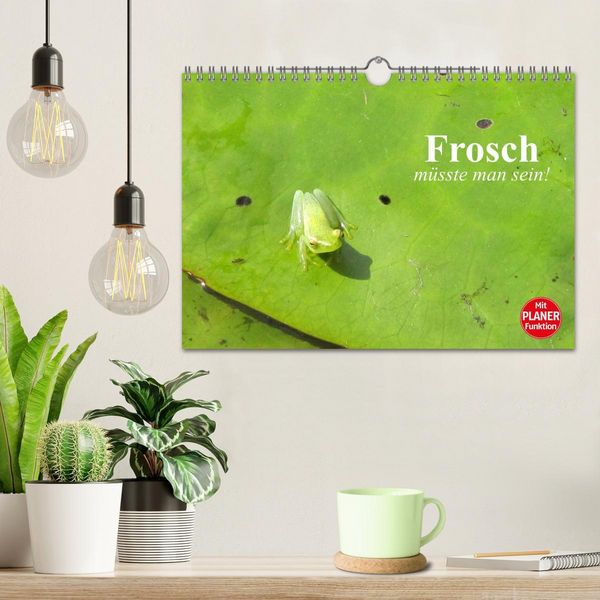 Produktbild: Frosch m&uuml;sste man sein! (Wandkalender 2026 DIN A4 quer), CALVENDO Monatskalender