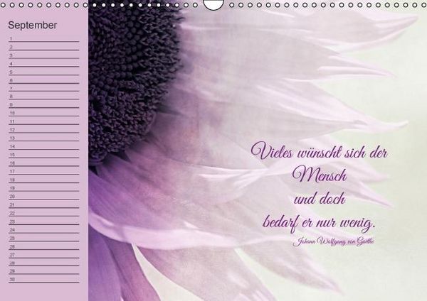 Produktbild: Spruchreifer Geburtstagskalender (Wandkalender immerw&auml;hrend DIN A3 quer)