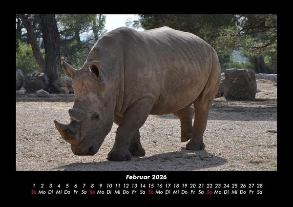 Produktbild: Der Tierkalender 2026 Fotokalender DIN A3