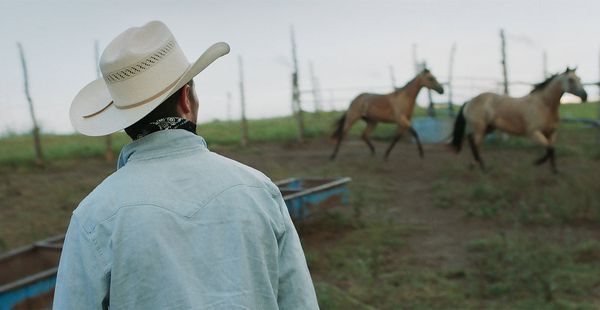 Produktbild: The Rider