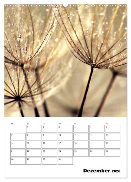Produktbild: Pusteblumentraum - Dreams of Dandelion (Wandkalender 2026 DIN A2 hoch), CALVENDO Monatskalender