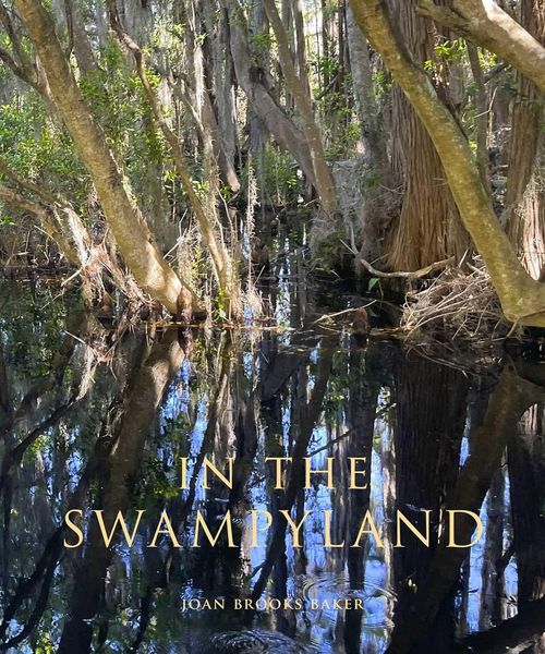 Produktbild: In the Swampyland