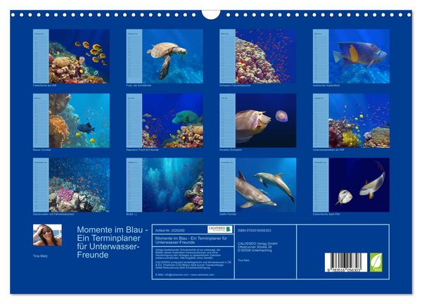 Produktbild: Momente im Blau - Ein Terminplaner f&uuml;r Unterwasser-Freunde (Wandkalender 2026 DIN A3 quer), CALVENDO Monatskalender