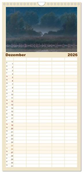 Produktbild: Familienplaner 2026 - Mit Kranichen durch das Jahr mit 5 Spalten (Wandkalender, 21 x 45 cm) CALVENDO