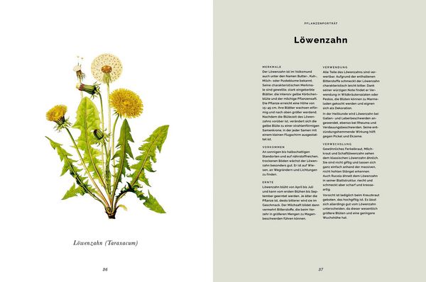 Produktbild: Das Wald-Kochbuch