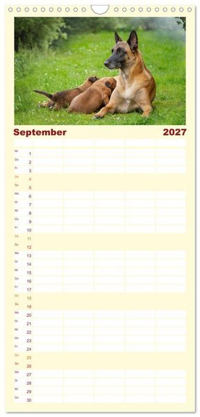 Produktbild: Familienplaner 2027 - Traumhund Malinois mit 5 Spalten (Wandkalender, 21 x 45 cm) CALVENDO