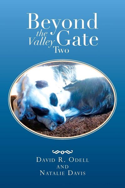 Produktbild: Beyond the Valley Gate Two