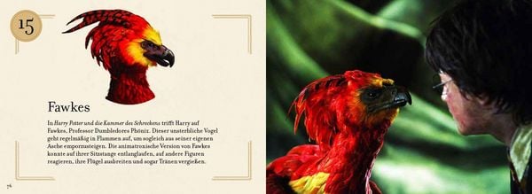 Produktbild: Aus den Filmen zu Harry Potter: Weihnachten in Hogwarts: Das gro&szlig;e Adventskalenderbuch