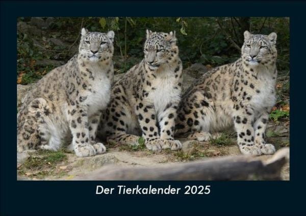 Produktbild: Der Tierkalender 2025 Fotokalender DIN A5