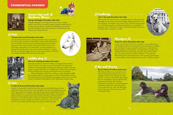 Produktbild: Dog Days of History
