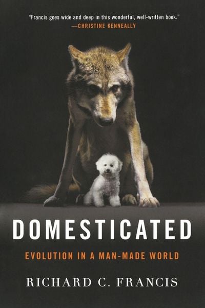 Produktbild: Domesticated