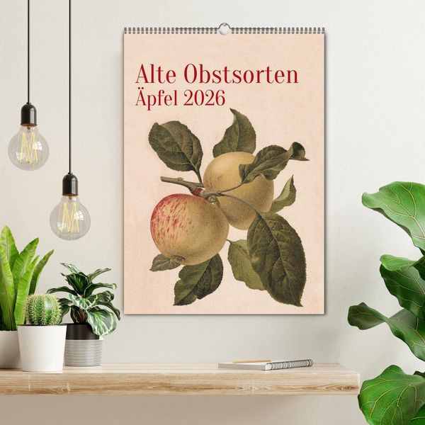 Produktbild: Alte Obstsorten - &Auml;pfel 2026 (Wandkalender 2026 DIN A2 hoch), CALVENDO Monatskalender