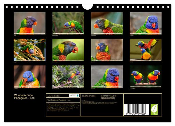 Produktbild: Wundersch&ouml;ne Papageien - Lori (Wandkalender 2026 DIN A4 quer), CALVENDO Monatskalender