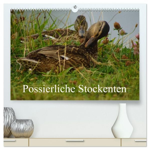Produktbild: Possierliche Stockenten (hochwertiger Premium Wandkalender 2026 DIN A2 quer), Kunstdruck in Hochglanz