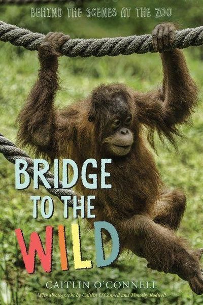 Produktbild: Bridge to the Wild