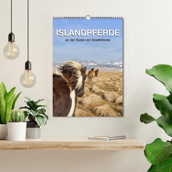 Produktbild: ISLANDPFERDE an der K&uuml;ste von Sn&aelig;fellsnes (Wandkalender 2026 DIN A3 hoch), CALVENDO Monatskalender