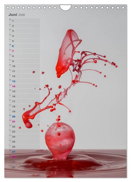 Produktbild: Farbenfreudig (Wandkalender 2026 DIN A4 hoch), CALVENDO Monatskalender