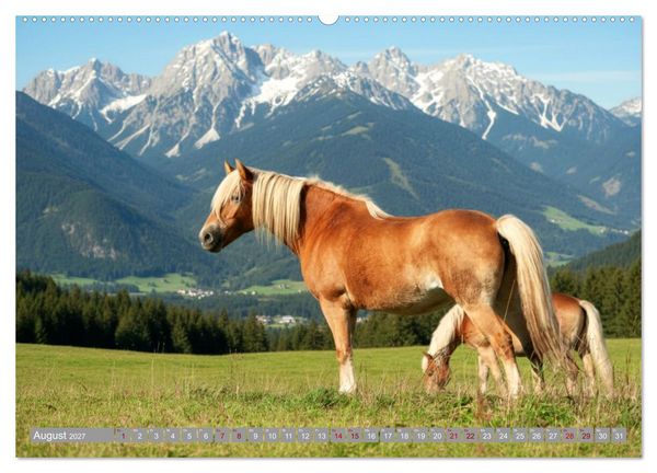Produktbild: Alpent&auml;ler und Haflinger Pferde (Wandkalender 2027 DIN A2 quer), CALVENDO Monatskalender