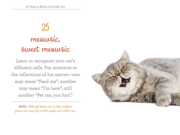 Produktbild: 97 Ways to Make a Cat Like You