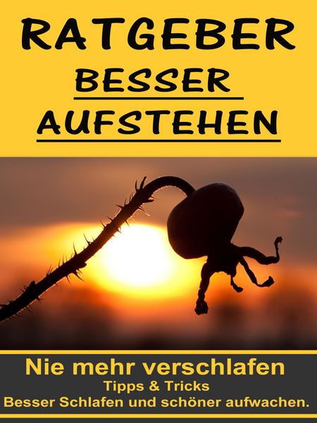 Produktbild: Ratgeber besser aufstehen - Besser Schlafen und sch&ouml;ner aufwachen.