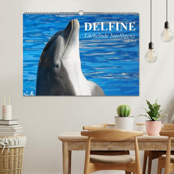 Produktbild: Delfine - L&auml;chelnde Intelligenz (Wandkalender 2026 DIN A2 quer), CALVENDO Monatskalender