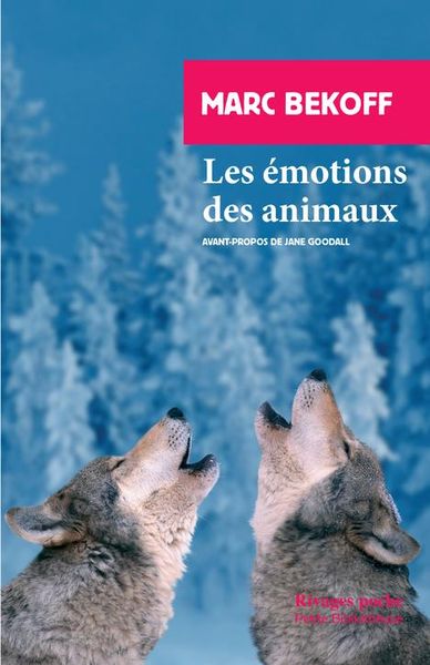 Produktbild: Les &eacute;motions des animaux