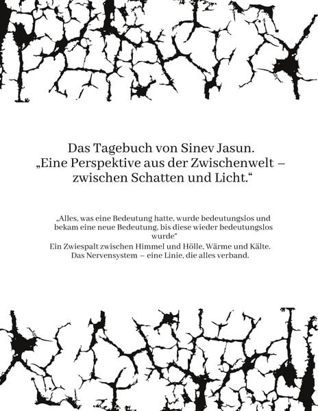 Produktbild: Das Tagebuch von Sinev Jasun. "Eine Perspektive aus der Zwischenwelt - zwischen Schatten und Licht."