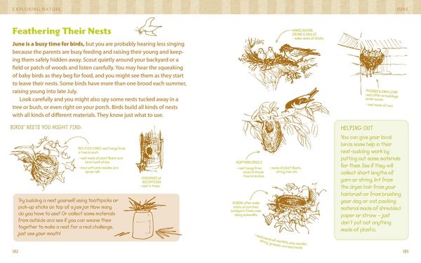 Produktbild: The Nature Connection