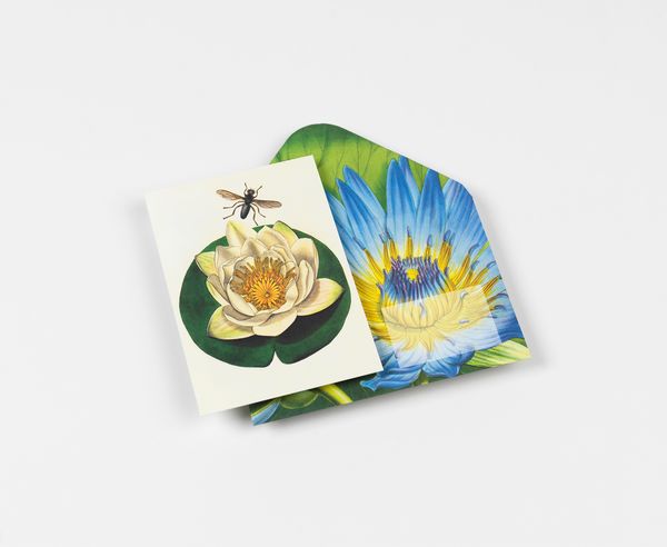 Produktbild: Flowers