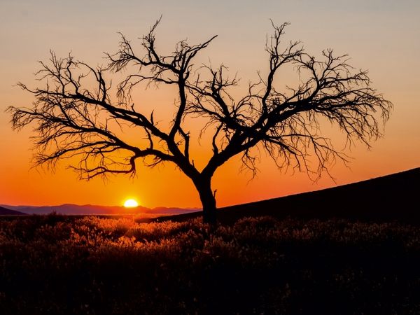 Produktbild: NAMIBIA - SOSSUSVLEI (Puzzle)
