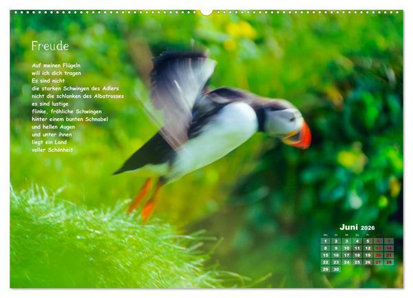 Produktbild: Lichtblicke f&uuml;r Auge und Seele - Der Kalender (Wandkalender 2026 DIN A2 quer), CALVENDO Monatskalender