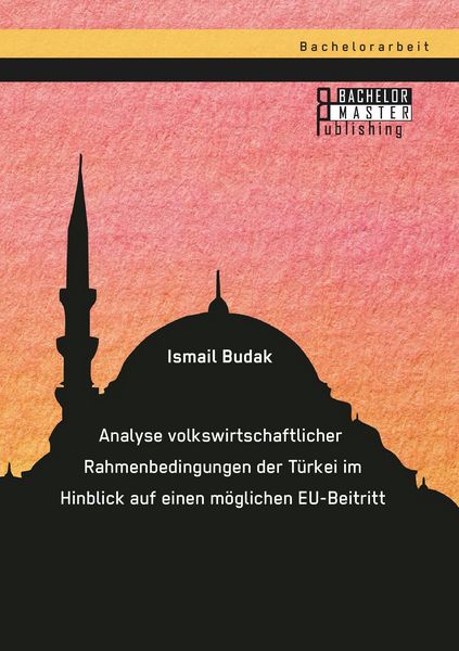 Produktbild: Analyse volkswirtschaftlicher Rahmenbedingungen der T&uuml;rkei im Hinblick auf einen m&ouml;glichen EU-Beitritt