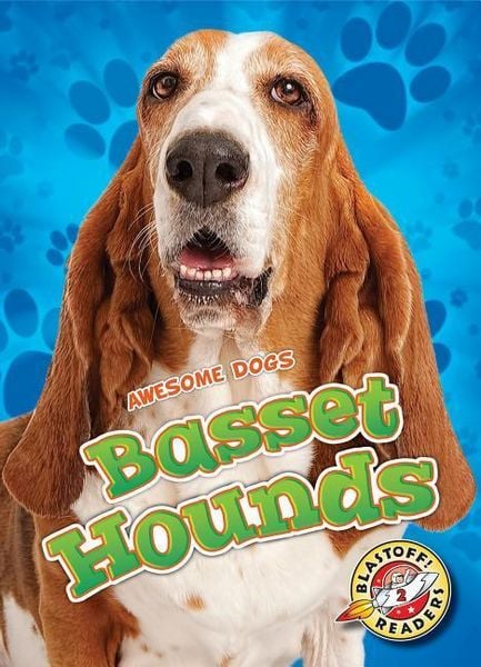 Produktbild: Basset Hounds