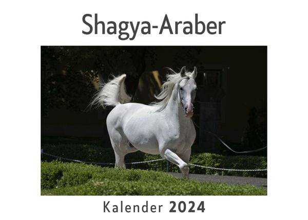Produktbild: Shagya-Araber (Wandkalender 2024, Kalender DIN A4 quer, Monatskalender im Querformat mit Kalendarium, Das perfekte Geschenk)