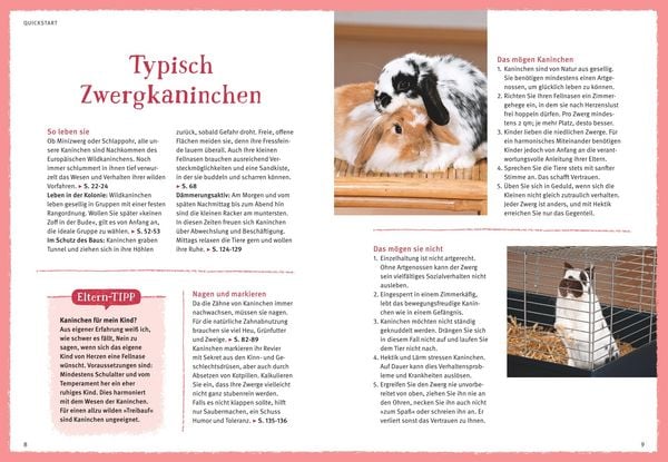 Produktbild: Liebenswerte Zwergkaninchen