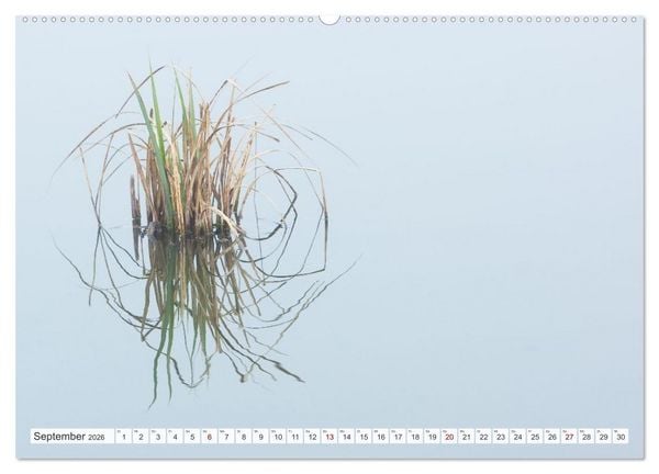 Produktbild: Feine Formen der Natur (Wandkalender 2026 DIN A2 quer), CALVENDO Monatskalender