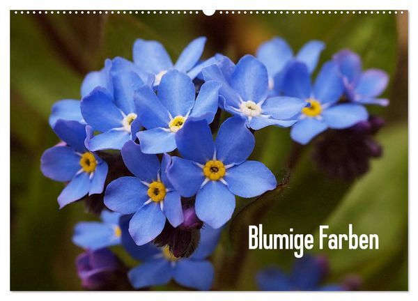 Produktbild: Blumige Farben (Wandkalender 2026 DIN A2 quer), CALVENDO Monatskalender