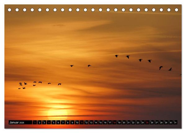 Produktbild: Sylt ist Meer (Tischkalender 2026 DIN A5 quer), CALVENDO Monatskalender