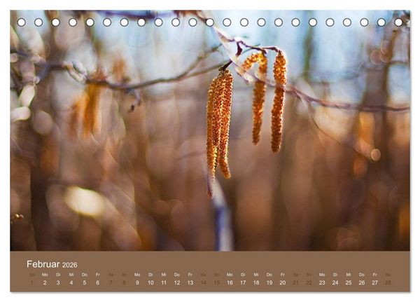 Produktbild: Farbwechsel - Die Farben der vier Jahreszeiten (Tischkalender 2026 DIN A5 quer), CALVENDO Monatskalender