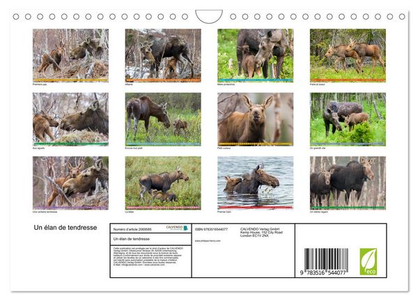 Produktbild: Un &eacute;lan de tendresse (Calendrier mural 2026 DIN A4 vertical), CALVENDO calendrier mensuel