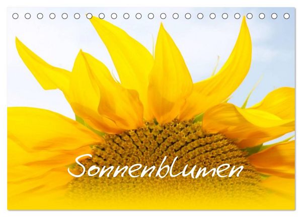 Produktbild: Sonnenblumen - die Blumen der Lebensfreude (Tischkalender 2026 DIN A5 quer), CALVENDO Monatskalender