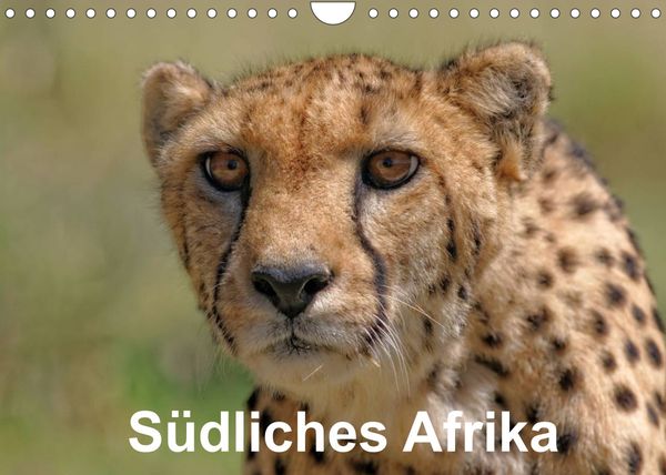 Produktbild: S&uuml;dliches Afrika (Wandkalender 2022 DIN A4 quer)
