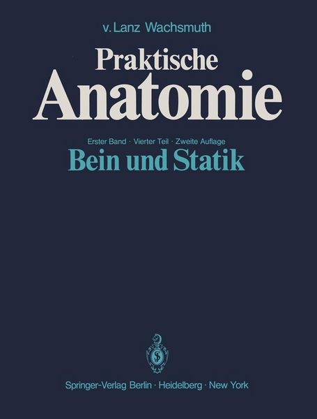 Produktbild: Bein und Statik