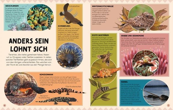 Seltsame Tiere, die es wirklich gibt