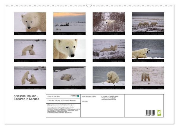 Produktbild: Arktische Tr&auml;ume - Eisb&auml;ren in Kanada (Wandkalender 2027 DIN A2 quer), CALVENDO Monatskalender