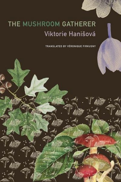 Produktbild: The Mushroom Gatherer