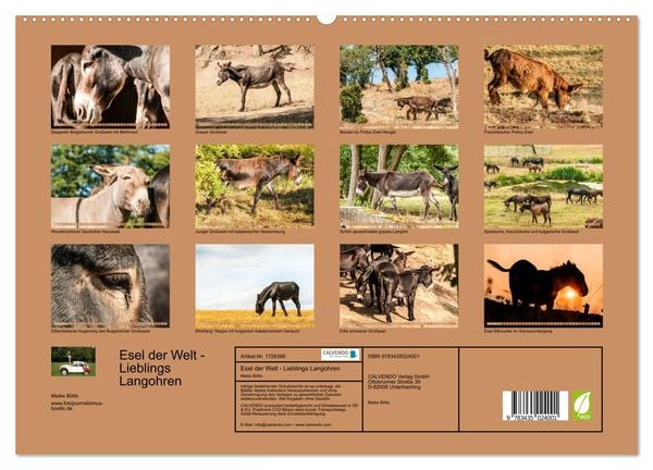 Produktbild: Esel der Welt - Lieblings Langohren (Wandkalender 2025 DIN A2 quer), CALVENDO Monatskalender