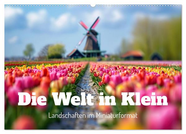 Produktbild: Die Welt in Klein (Wandkalender 2026 DIN A2 quer), CALVENDO Monatskalender
