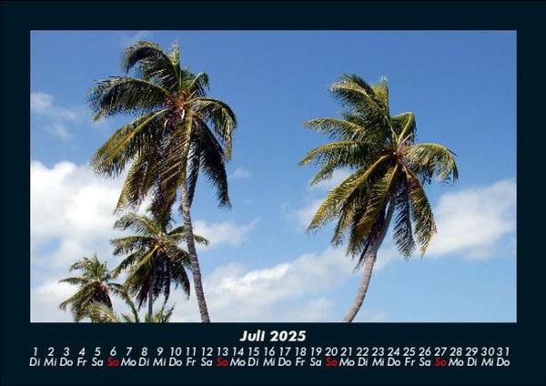 Produktbild: Palmentraum 2025 Fotokalender DIN A5
